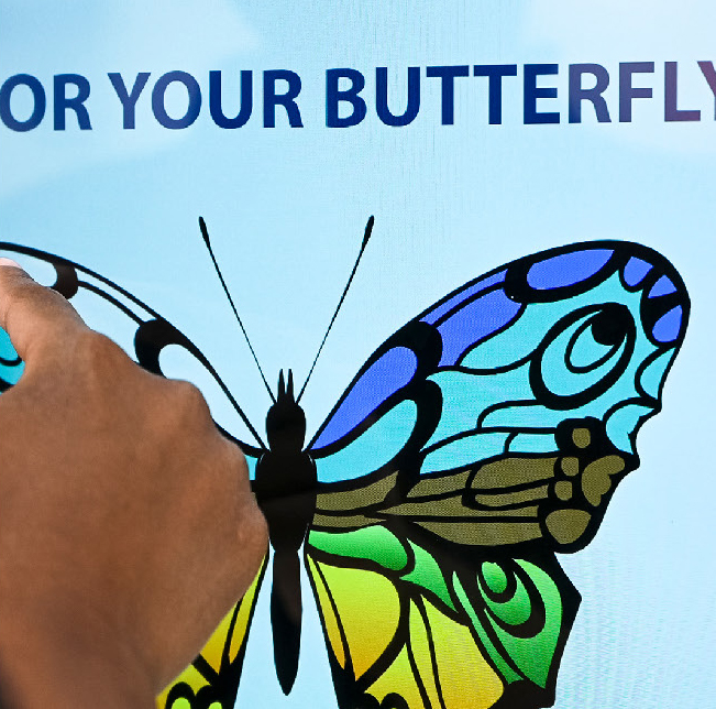 Social Butterflies detail 2